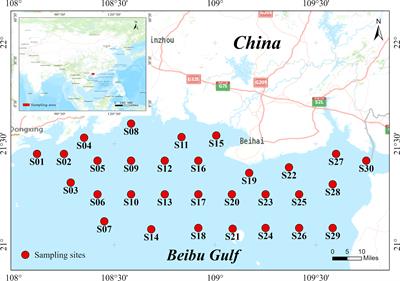 Microplastic prevalence in marine fish from onshore Beibu Gulf, South China Sea